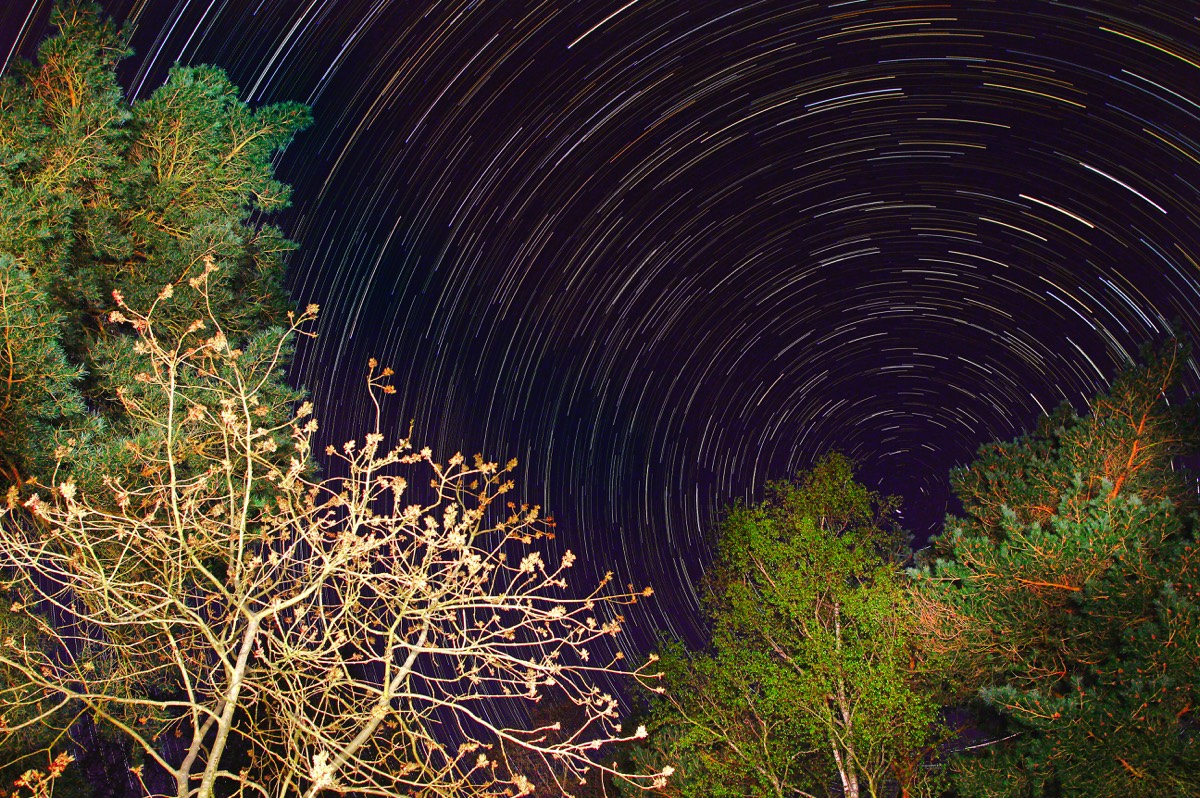 Star-trail New Forest.