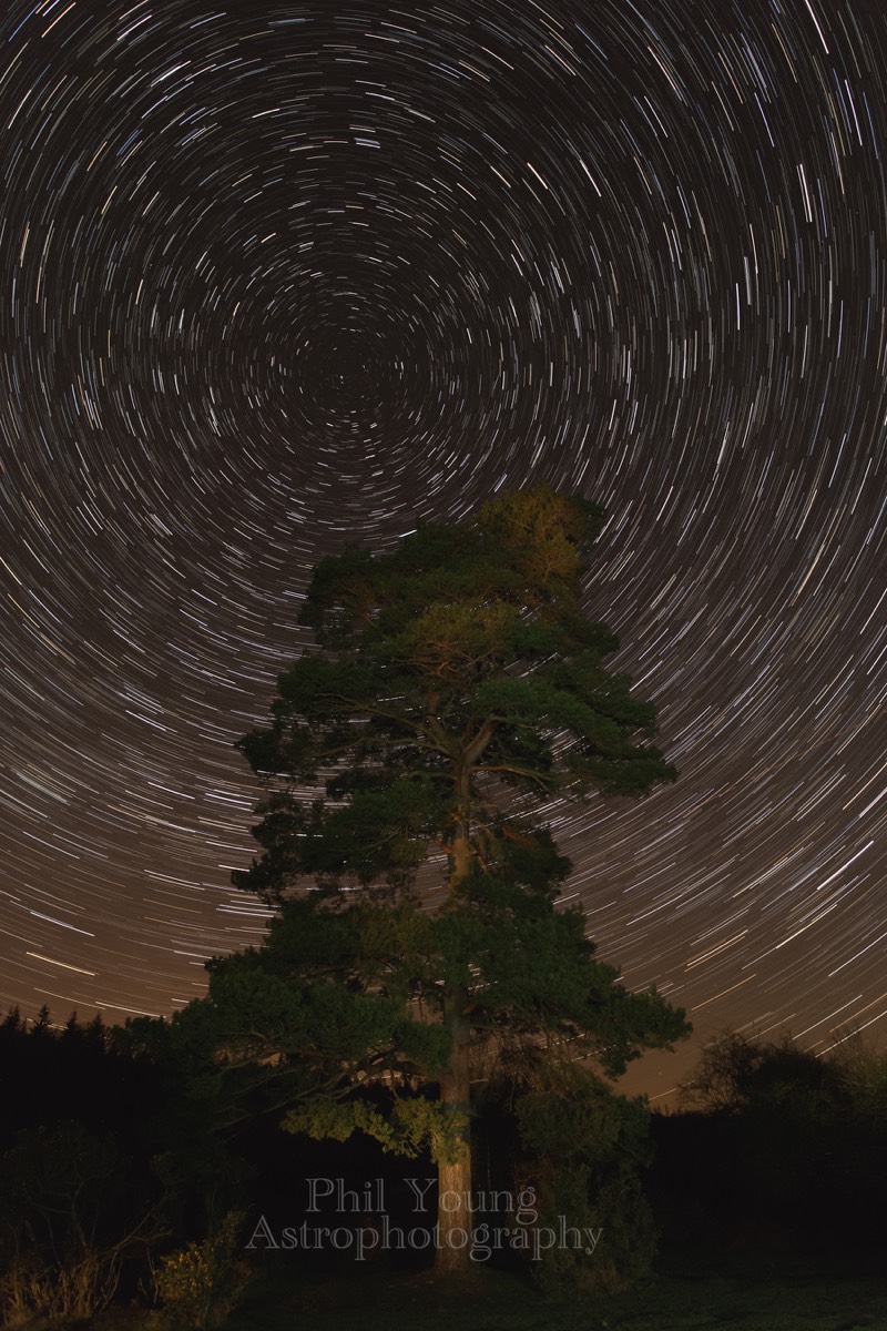 Startrails New Forest