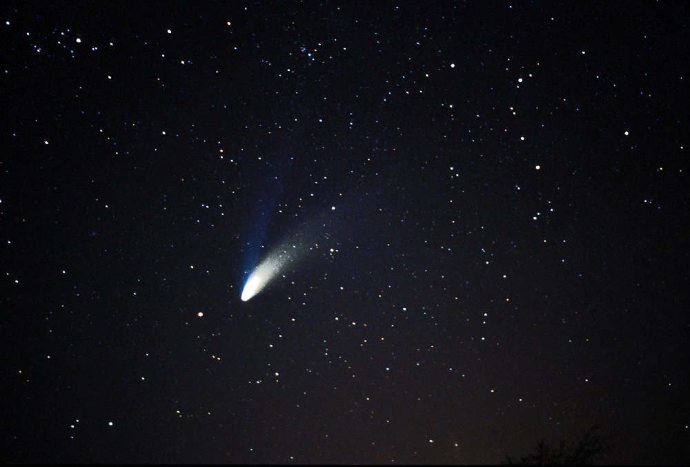 Comet Hal-Bopp 35mm film image Hal-Bopp has a orbital period of 2,533 years.