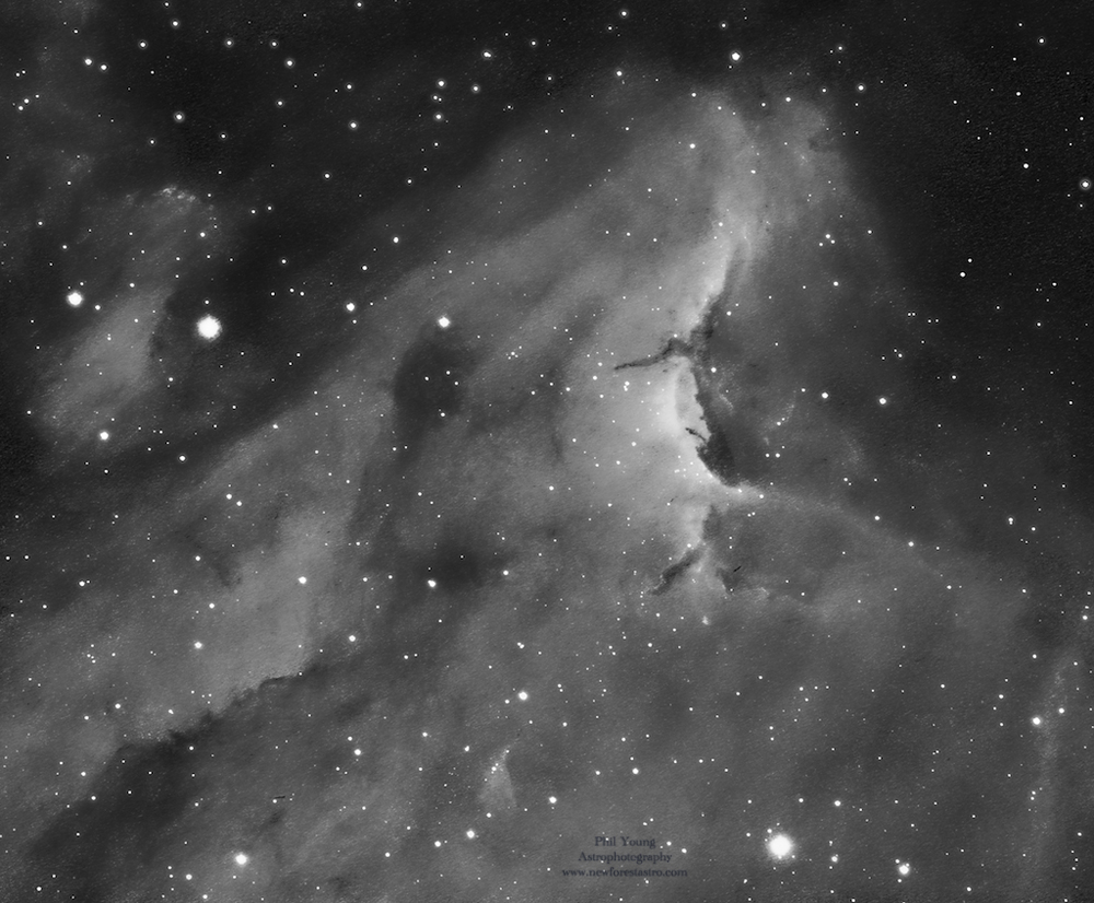 Ha Image IC 5070 Pelican Nebula Star Forming Region 1,800 light years away in Cygnus